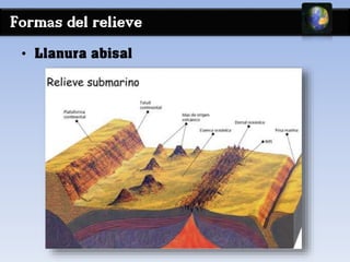 Formas del relieve 
• Llanura abisal 
 