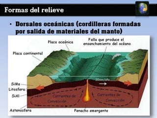 Formas del relieve 
• Dorsales oceánicas (cordilleras formadas 
por salida de materiales del manto) 
 