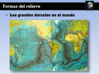 Formas del relieve 
• Las grandes dorsales en el mundo 
 