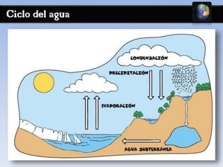 Ciclo del agua 
 