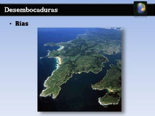 Desembocaduras 
• Rías 
 