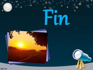 Fin
 
