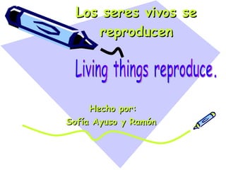 Los seres vivos se reproducen Hecho por: Sofía Ayuso y Ramón  Living things reproduce.  