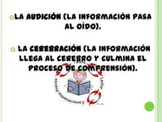 La   audición (la información pasa
               al oído).

   La cerebración (la información
    llega al cerebro y culmina el
      proceso de comprensión).
 