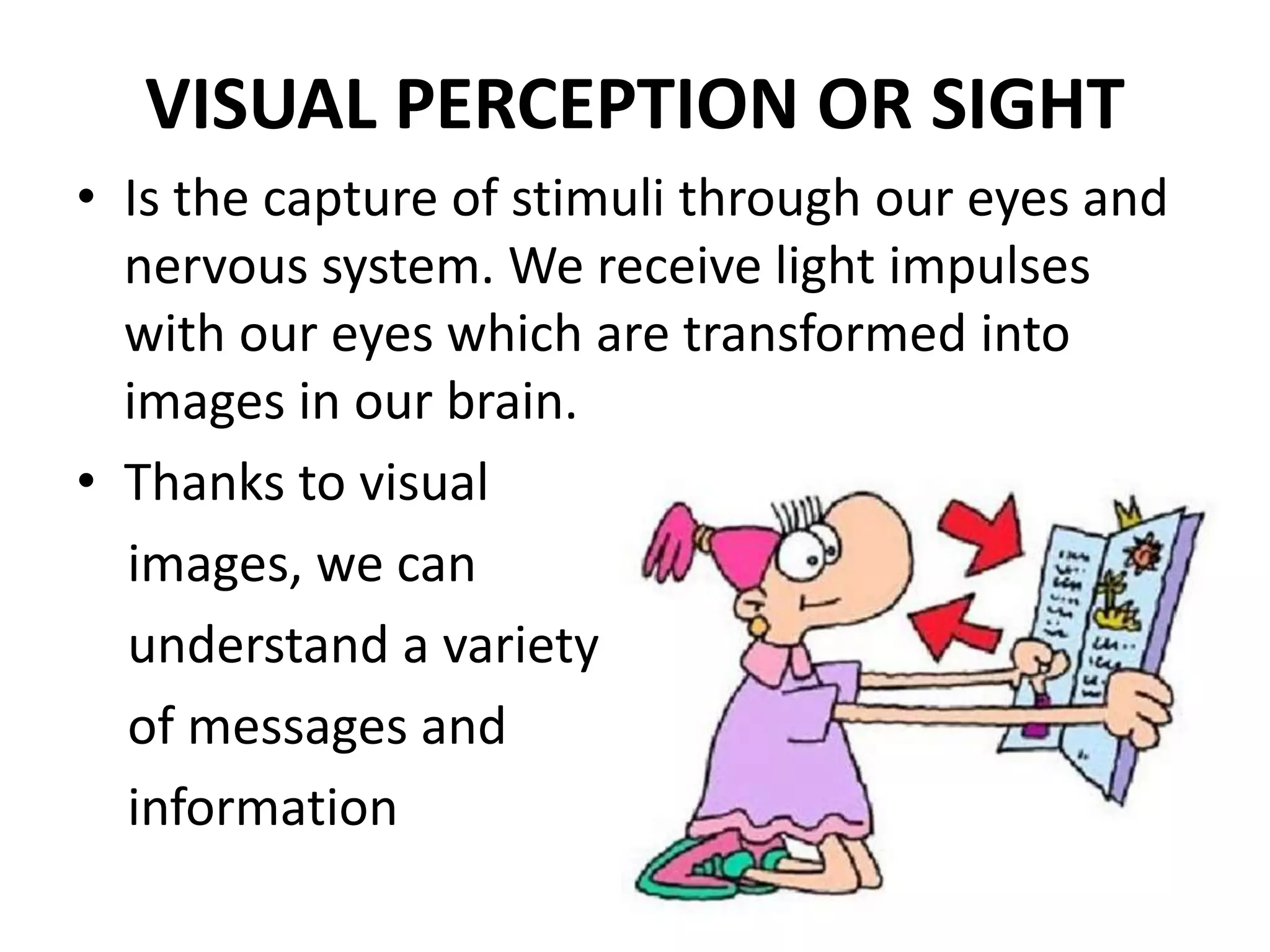 VISUAL PERCEPTION OR SIGHT
• Is the capture of stimuli through our eyes and
nervous system. We receive light impulses
with our eyes which are transformed into
images in our brain.
• Thanks to visual
images, we can
understand a variety
of messages and
information
 