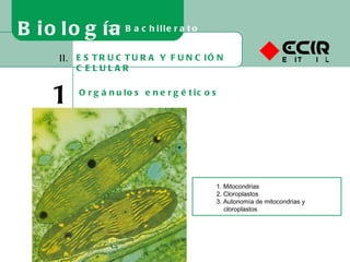 ESTRUCTURA Y FUNCIÓN CELULAR II. 10 Orgánulos energéticos Biología 2º Bachillerato 1. Mitocondrias 2. Cloroplastos 3. Autonomía de mitocondrias y cloroplastos 