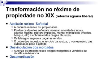 Trasformación no réxime de propiedade no XIX  (reforma agraria liberal) Abolición rexime  Señorial A nobreza mantivo as  propiedades Perden os dereitos señoriais: nomear autoridades locais, exercer xustiza, cobrara impostos, manter monopolios (muiños, bosque, etc) e cobrara certas cargas abusivas. Os labregos seguen a pagar as rendas. O cobro dos impostos, o xercicio da xustiza, o nomeamento das autoridades pasa ó estado Desvinculación dos morgados Autoriza os propietariosde antigos morgados a vendelas ou dividilas en herencia Desamortización 