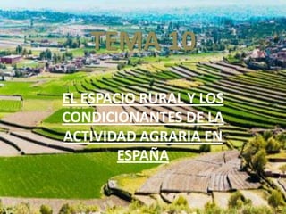 TEMA 10
EL ESPACIO RURAL Y LOS
CONDICIONANTES DE LA
ACTIVIDAD AGRARIA EN
        ESPAÑA
 