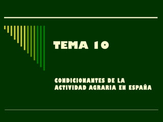 TEMA 10


CONDICIONANTES DE LA
ACTIVIDAD AGRARIA EN ESPAÑA
 