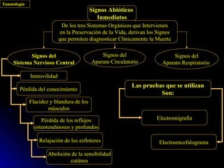 Tanatología
                                           Signos Abióticos
                                              Inmediatos
                              De los tres Sistemas Orgánicos que Intervienen
                             en la Preservación de la Vida, derivan los Signos
                            que permiten diagnosticar Clínicamente la Muerte


            Signos del                         Signos del                      Signos del
     Sistema Nervioso Central              Aparato Circulatorio           Aparato Respiratorio

              Inmovilidad
                                                            Las pruebas que se utilizan
        Pérdida del conocimiento
                                                                      Son:
              Flacidez y blandura de los
                      músculos

                   Pérdida de los reflejos                             Electromigrafía
                osteotendinosos y profundos

                  Relajación de los esfínteres                          Electroencefalograma

                      Abolición de la sensibilidad
                               cutánea
 