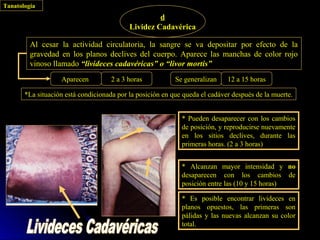 Tanatología
                                                    d
                                           Lividez Cadavérica

         Al cesar la actividad circulatoria, la sangre se va depositar por efecto de la
         gravedad en los planos declives del cuerpo. Aparece las manchas de color rojo
         vinoso llamado “livideces cadavéricas” o “livor mortis”
                   Aparecen          2 a 3 horas           Se generalizan    12 a 15 horas

       *La situación está condicionada por la posición en que queda el cadáver después de la muerte.


                                                             * Pueden desaparecer con los cambios
                                                             de posición, y reproducirse nuevamente
                                                             en los sitios declives, durante las
                                                             primeras horas. (2 a 3 horas)


                                                             * Alcanzan mayor intensidad y no
                                                             desaparecen con los cambios de
                                                             posición entre las (10 y 15 horas)

                                                             * Es posible encontrar livideces en
                                                             planos opuestos, las primeras son
                                                             pálidas y las nuevas alcanzan su color
                                                             total.
 