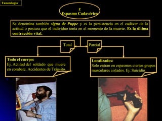 Tanatología
                                            e
                                    Espasmo Cadavérico

       Se denomina también signo de Puppe y es la persistencia en el cadáver de la
       actitud o postura que el individuo tenía en el momento de la muerte. Es la última
       contracción vital.

                                     Total          Parcial


   Todo el cuerpo:                                    Localizados:
   Ej. Actitud del soldado que muere                  Solo entran en espasmos ciertos grupos
   en combate. Accidentes de Tránsito.                musculares aislados. Ej. Suicidio
 