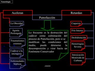 Tanatología




               Aceleran                                              Retardan
                                       Putrefacción
              La Obesidad                                            Caquexia

               Agonía                                                Frío Intenso
              Prolongada     Lo frecuente es la destrucción del
                             cadáver como culminación del
                                                                     Deshidratación
                             proceso de Putrefacción, pero si se
              Traumatismos
                             modifican las condiciones del
                extensos                                             Hemorragias
                             medio,    puede     detenerse      la
                                                                       Severas
                             descomposición y virar hacia un
              Cadáver a la   Fenómeno Conservador
               intemperie                                            Intoxicación
                                                                     Monóxido de
              Enfermedades                                             Carbono
                Sépticas
                                            JGM2009
 