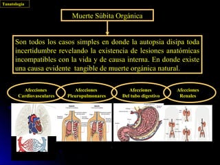 Tanatología

                           Muerte Súbita Orgánica


      Son todos los casos simples en donde la autopsia disipa toda
      incertidumbre revelando la existencia de lesiones anatómicas
      incompatibles con la vida y de causa interna. En donde existe
      una causa evidente tangible de muerte orgánica natural.

         Afecciones          Afecciones         Afecciones        Afecciones
       Cardiovasculares   Pleuropulmonares   Del tubo digestivo    Renales
 