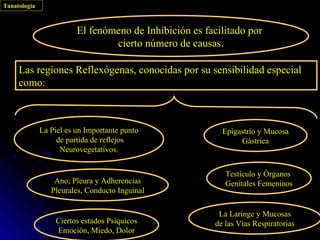 Tanatología



                         El fenómeno de Inhibición es facilitado por
                                 cierto número de causas.

     Las regiones Reflexógenas, conocidas por su sensibilidad especial
     como:



              La Piel es un Importante punto               Epigastrio y Mucosa
                   de partida de reflejos                       Gástrica
                    Neurovegetativos.


                                                            Testículo y Órganos
                  Ano; Pleura y Adherencias                 Genitales Femeninos
                 Pleurales, Conducto Inguinal

                                                          La Laringe y Mucosas
                  Ciertos estados Psíquicos              de las Vías Respiratorias
                  Emoción, Miedo, Dolor
 