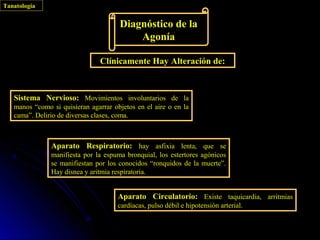 Tanatología


                                      Diagnóstico de la
                                          Agonía

                                Clínicamente Hay Alteración de:



   Sistema Nervioso: Movimientos involuntarios de la
   manos “como si quisieran agarrar objetos en el aire o en la
   cama”. Delirio de diversas clases, coma.



               Aparato Respiratorio: hay asfixia lenta, que se
               manifiesta por la espuma bronquial, los estertores agónicos
               se manifiestan por los conocidos “ronquidos de la muerte”.
               Hay disnea y aritmia respiratoria.


                                      Aparato Circulatorio: Existe taquicardia, arritmias
                                      cardíacas, pulso débil e hipotensión arterial.
 
