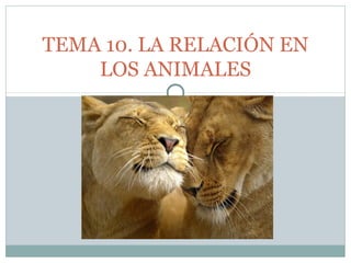 TEMA 10. LA RELACIÓN EN
    LOS ANIMALES
 