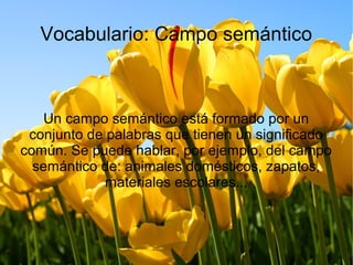 Vocabulario: Campo semántico
Un campo semántico está formado por un
conjunto de palabras que tienen un significado
común. Se puede hablar, por ejemplo, del campo
semántico de: animales domésticos, zapatos,
materiales escolares...
 