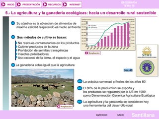 INICIO

PRESENTACIÓN

RECURSOS

GEOGRAFÍA
TEMA 10

INTERNET

5.- La agricultura y la ganadería ecológicas: hacia un desarrollo rural sostenible
Su objetivo es la obtención de alimentos de
máxima calidad respetando el medio ambiente
Sus métodos de cultivo se basan:
No residuos contaminantes en los productos
Cultivar productos de la zona
Prohibición de semillas transgénicas
Insectos polinizadores
Uso racional de la tierra, el espacio y el agua

Ampliación

La ganadería actúa igual que la agricultura
Doc.43

La práctica comenzó a finales de los años 80
El 80% de la producción se exporta y
los productos se regularon por la UE en 1989
como Denominación Genérica Agricultura Ecológica

Ampliación

La agricultura y la ganadería se consideran hoy
una herramienta del desarrollo rural
ANTERIOR

SALIR

Santillana

 