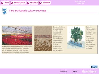 INICIO

PRESENTACIÓN

RECURSOS

GEOGRAFÍA
TEMA 10

INTERNET

Tres técnicas de cultivo modernas

Doc.10
ANTERIOR

SALIR

Santillana

 