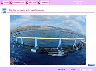 INICIO

PRESENTACIÓN

RECURSOS

GEOGRAFÍA
TEMA 10

INTERNET

Piscifactoría de atún en Canarias

Doc.45
ANTERIOR

SALIR

Santillana

 