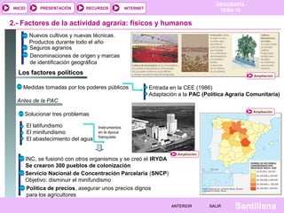INICIO

PRESENTACIÓN

RECURSOS

GEOGRAFÍA
TEMA 10

INTERNET

2.- Factores de la actividad agraria: físicos y humanos
Nuevos cultivos y nuevas técnicas.
Productos durante todo el año
Seguros agrarios
Denominaciones de origen y marcas
de identificación geográfica

Los factores políticos

Ampliación

Medidas tomadas por los poderes públicos

Entrada en la CEE (1986)
Adaptación a la PAC (Política Agraria Comunitaria)

Antes de la PAC
Ampliación

Solucionar tres problemas
El latifundismo
El minifundismo
El abastecimiento del agua

Instrumentos
en la época
franquista

INC, se fusionó con otros organismos y se creó el IRYDA
Se crearon 300 pueblos de colonización
Servicio Nacional de Concentración Parcelaria (SNCP)
Objetivo: disminuir el minifundismo
Política de precios, asegurar unos precios dignos
para los agricultores

Ampliación

ANTERIOR

SALIR

Santillana

 