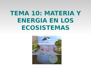 TEMA 10: MATERIA Y
ENERGIA EN LOS
ECOSISTEMAS
 