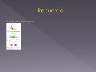 Los ángulos, según su posición, pueden ser:
 