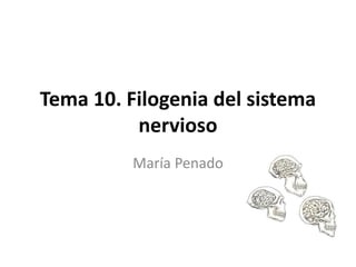 Tema 10. Filogenia del sistema
nervioso
María Penado
 