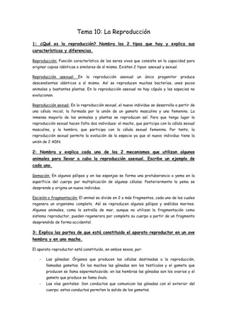 Tema 10: La Reproducción
1: ¿Qué es la reproducción? Nombra los 2 tipos que hay y explica sus
características y diferencias.

Reproducción: Función característica de los seres vivos que consiste en la capacidad para
originar copias idénticas o similares de sí mismo. Existen 2 tipos: asexual y sexual.

Reproducción    asexual:   En   la   reproducción   asexual   un   único   progenitor   produce
descendientes idénticos a sí mismo. Así se reproducen muchas bacterias, unos pocos
animales y bastantes plantas. En la reproducción asexual no hay cópula y las especies no
evolucionan.

Reproducción sexual: En la reproducción sexual, el nuevo individuo se desarrolla a partir de
una célula inicial, la formada por la unión de un gameto masculino y uno femenino. La
inmensa mayoría de los animales y plantas se reproducen así. Para que tenga lugar la
reproducción sexual hacen falta dos individuos: el macho, que participa con la célula sexual
masculina, y la hembra, que participa con la célula sexual femenina. Por tanto, la
reproducción sexual permite la evolución de la especie ya que el nuevo individuo tiene la
unión de 2 ADN.

2: Nombra y explica cada uno de los 2 mecanismos que utilizan algunos
animales para llevar a cabo la reproducción asexual. Escribe un ejemplo de
cada uno.

Gemación: En algunos pólipos y en las esponjas se forma una protuberancia o yema en la
superficie del cuerpo por multiplicación de algunas células. Posteriormente la yema se
desprende y origina un nuevo individuo.

Escisión o fragmentación: El animal se divide en 2 o más fragmentos, cada uno de los cuales
regenera un organismo completo. Así se reproducen algunos pólipos y anélidos marinos.
Algunos animales, como la estrella de mar, aunque no utilizan la fragmentación como
sistema reproductor, pueden regenerara por completo su cuerpo a partir de un fragmento
desprendido de forma accidental.

3: Explica las partes de que está constituido el aparato reproductor en un ave
hembra y en uno macho.

El aparato reproductor está constituido, en ambos sexos, por:

    -   Las gónadas: Órganos que producen las células destinadas a la reproducción,
        llamadas gametos. En los machos las gónadas son los testículos y el gameto que
        producen se llama espermatozoide; en las hembras las gónadas son los ovarios y el
        gameto que produce se llama óvulo.
    -   Las vías genitales: Son conductos que comunican las gónadas con el exterior del
        cuerpo; estos conductos permiten la salida de los gametos.
 