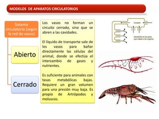 MODELOS DE APARATOS CIRCULATORIOS


       Sistema        Los vasos no forman un
circulatorio (según   circuito cerrado, sino que se
  la red de vasos)    abren a las cavidades.

                      El líquido de transporte sale de
                      los     vasos     para    bañar
                      directamente las células del
    Abierto           animal, donde se efectúa el
                      intercambio de gases y
                      nutrientes.

                      Es suficiente para animales con
                      tasas     metabólicas    bajas.
    Cerrado           Requiere un gran volumen
                      para una presión muy baja. Es
                      propio de Artrópodos y
                      moluscos.
 