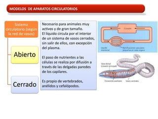 MODELOS DE APARATOS CIRCULATORIOS


       Sistema        Necesario para animales muy
circulatorio (según   activos y de gran tamaño.
  la red de vasos)    El líquido circula por el interior
                      de un sistema de vasos cerrados,
                      sin salir de ellos, con excepción
                      del plasma.
    Abierto           El paso de nutrientes a las
                      células se realiza por difusión a
                      través de las delgadas paredes
                      de los capilares.

                      Es propio de vertebrados,
    Cerrado           anélidos y cefalópodos.
 