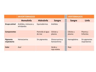 INVERTEBRADOS                                               VERTEBRADOS
                      Hemolinfa        Hidrolinfa           Sangre            Sangre         Linfa
Grupo animal   Anélidos, moluscos y   Equinodermos       Anélidos
               artrópodos

Componentes                           Parecida al agua   Células y         Células y     Plasma y
                                      de mar             plasma            plasma        linfocitos

Pigmento       Hemocianina            Sin pigmentos      Clorocruorina y   Hemoglobina   Sin pigmentos
respiratorio                                             hemoeritrina                    respiratorios

Color          Azul                                      Verde y           Rojo
                                                         rojo violeta
 