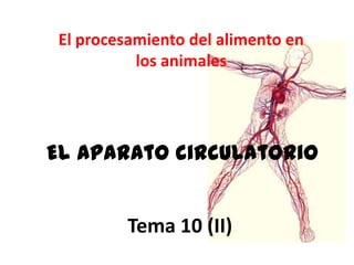El procesamiento del alimento en
           los animales




El aparato circulatorio


          Tema 10 (II)
 