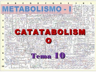 CATATABOLISM
O
Tema 10

 