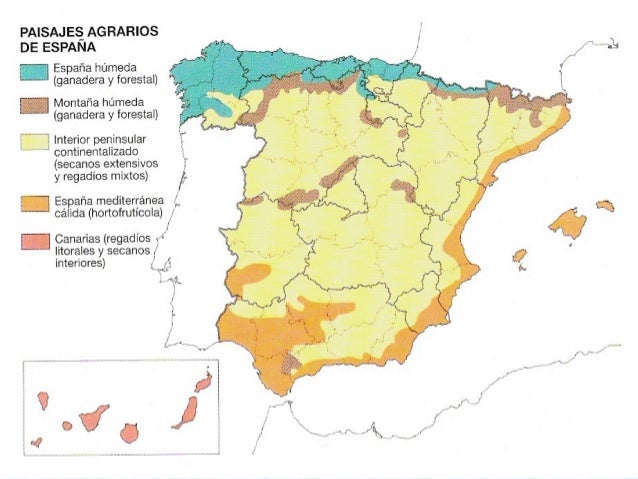 Tema 10 La diversidad paisajes agrarios españoles.