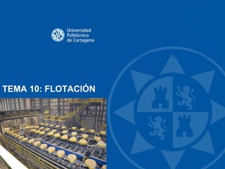 PLANTAS DE TRATAMIENTO DE RECURSOS MINERALES
TEMA 10: FLOTACIÓN
 