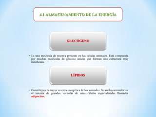 4.1 ALMACENAMIENTO DE LA ENERGÍA
 