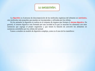 2.1 DIGESTIÓN.



     La digestión es el proceso de descomposición de las moléculas orgánicas del alimento en nutrientes,
otra moléculas más pequeñas que puedan ser incorporadas y utilizadas por las células.
     En los animales la digestión se realiza en el conjunto de órganos que forman el sistema digestivo. En
general, el sistema digestivo esta formado por una cavidad en la que se mezclan los alimentos con unas
sustancias que segrega el propio organismo y que tienen la función de convertir los alimentos en
sustancias asimilables por las células del animal.
    Vamos a estudiar un modelo de digestión complejo, como es el caso de los mamíferos:
 
