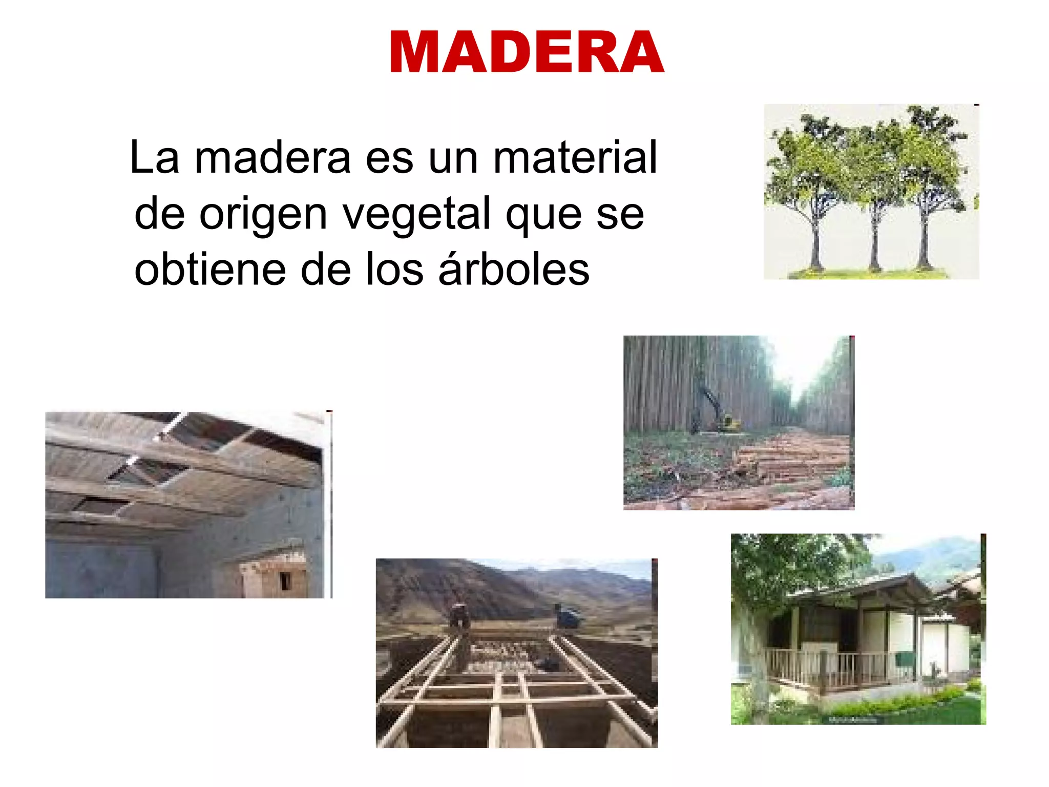 Tema 10 Madera Ppt