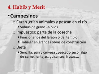 4. Habib y Merit
•Campesinos
o Cazan ,crían animales y pescan en el río
 Sobras de grano –> Silos
o Impuestos: parte de la cosecha
 Funcionarios del faraón o del templo
 Trabajar en grandes obras de construcción
o Dieta
 Sencilla: pan y cerveza , pescado seco, algo
de carne, lentejas, guisantes, frutas….
 