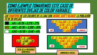 TEMA 1075. LA FRECUENCIA ALÉLICA.LA y FRECUENCIA GENOTIPICA..pdf