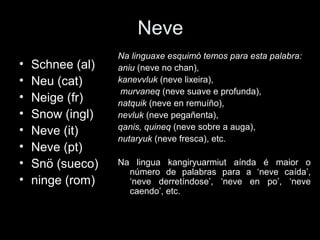 Neve
• Schnee (al)
• Neu (cat)
• Neige (fr)
• Snow (ingl)
• Neve (it)
• Neve (pt)
• Snö (sueco)
• ninge (rom)
Na linguaxe esquimó temos para esta palabra:
aniu (neve no chan),
kanevvluk (neve lixeira),
murvaneq (neve suave e profunda),
natquik (neve en remuíño),
nevluk (neve pegañenta),
qanis, quineq (neve sobre a auga),
nutaryuk (neve fresca), etc.
Na lingua kangiryuarmiut aínda é maior o
número de palabras para a ‘neve caída’,
‘neve derretíndose’, ‘neve en po’, ‘neve
caendo’, etc.
 