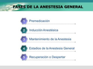 FASES DE LA ANESTESIA GENERAL
Premedicación
1
Inducción Anestésica
2
Mantenimiento de la Anestesia
3
Estadios de la Anestesia General
4
Recuperación o Despertar
5
 
