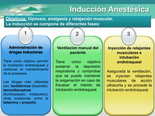 Inducción Anestésica
Objetivos: hipnosis, analgesia y relajación muscular.
La inducción se compone de diferentes fases:
1 2 3
Administración de
drogas inductoras
Tiene como objetivo permitir
la intubación endotraqueal y
continuar el mantenimiento
de la anestesia.
Las drogas más utilizadas
son: barbitúricos (tiopental);
benzodiacepinas
(flunitrazepam, midazolam);
otras sustancias como la
ketamina y propofol.
Ventilación manual del
paciente
Tiene
sostener
como objetivo
la depresión
respiratoria y comprobar
que se puede mantener
la oxigenación en caso de
fracasar el intento de
intubación endotraqueal.
Inyección de relajantes
musculares e
intubación
endotraqueal
Asegurada la ventilación,
se inyectan relajantes
musculares de acción
ultracorta y se procede la
intubación endotraqueal.
 