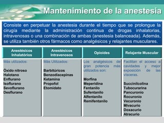Mantenimiento de la anestesia
Consiste en perpetuar la anestesia durante el tiempo que se prolongue la
cirugía mediante la administración continua de drogas inhalatorias,
intravenosas o una combinación de ambas (anestesia balanceada). Además,
se utiliza también otros fármacos como analgésicos y relajantes musculares.
Anestésicos
Inhalatórios
Anestésicos
Intravenosos
Opioides Relajante Muscular
Más utilizados:
Óxido nitroso
Halotano
Enflurano
Isoflurano
Sevoflurano
Desflurano
Más Utilizados:
Barbitúricos
Benzodiacepinas
Ketamina
Propofol
Etomidato
Los analgésicos de
gran potencia más
utilizados son:
Morfina
Meperidina
Fentanilo
Sufentanilo
Alfentanilo
Remifentanilo
Facilitan el acceso a
cavidades y mejor
exposición de las
vísceras.
Succinilcolina
Tubocurarina
Pancuronio
Rocuronio
Vecuronio
Mivacurio
Doxacurio
Atracurio
 