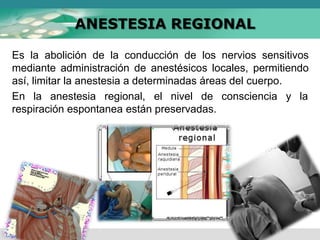 ANESTESIA REGIONAL
Es la abolición de la conducción de los nervios sensitivos
mediante administración de anestésicos locales, permitiendo
así, limitar la anestesia a determinadas áreas del cuerpo.
En la anestesia regional, el nivel de consciencia y la
respiración espontanea están preservadas.
 