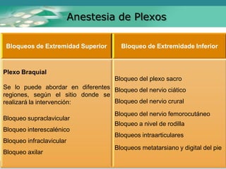 Anestesia de Plexos
Bloqueos de Extremidad Superior Bloqueo de Extremidade Inferior
Plexo Braquial
Se lo puede abordar en diferentes
regiones, según el sitio donde se
realizará la intervención:
Bloqueo supraclavicular
Bloqueo interescalénico
Bloqueo infraclavicular
Bloqueo axilar
Bloqueo del plexo sacro
Bloqueo del nervio ciático
Bloqueo del nervio crural
Bloqueo del nervio femorocutáneo
Bloqueo a nivel de rodilla
Bloqueos intraarticulares
Bloqueos metatarsiano y digital del pie
 