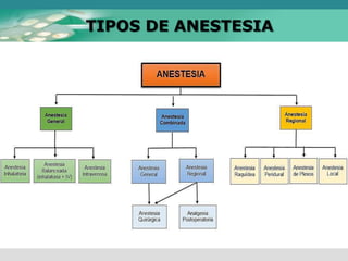 TIPOS DE ANESTESIA
 