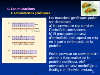 4. Les mutacions 1. Les mutacions genètiques Les mutacions genètiques poden ser silencioses: a) No provoquen cap canvi en l’aminoàcid corresponent b) Sí provoquen un canvi d’aminoàcid, però aquest no està en la part o centre actiu de la proteïna Poden provocar un canvi proteic i alterar la funcionalitat de la proteïna codificada. Aixó provocarà un canvi morfològic o fisiològic en l’individu mutant. 